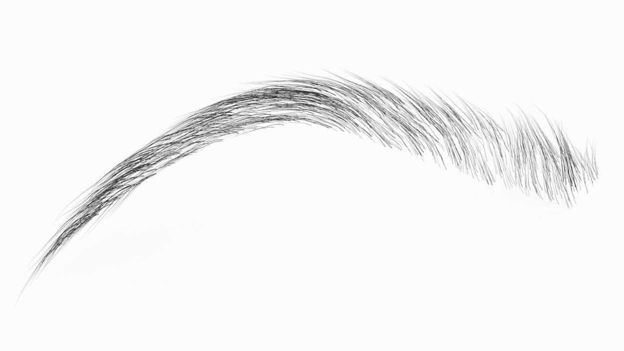 Arched Eyebrows 2 3D