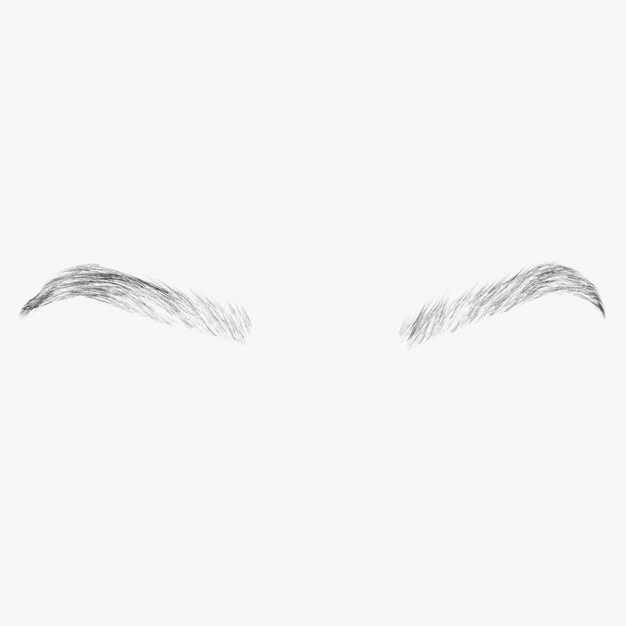 Arched Eyebrows 2 3D