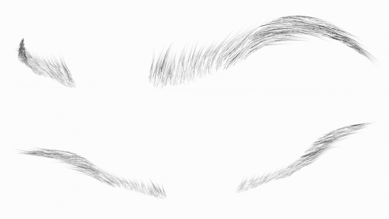 S Shaped Eyebrows 3D