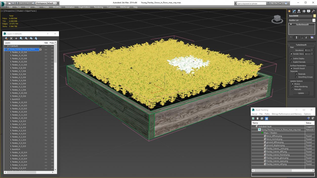 Young Parsley Grows in Rows 3D