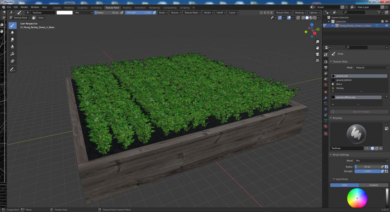 Young Parsley Grows in Rows 3D