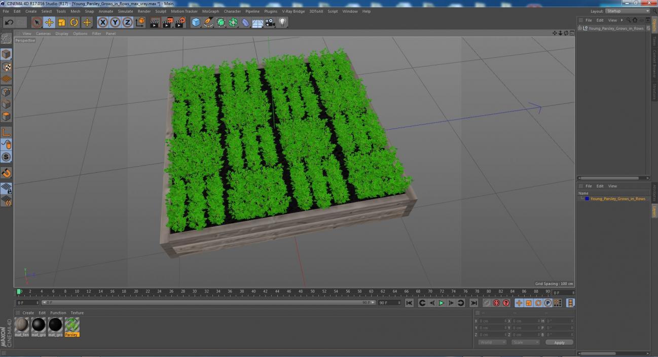 Young Parsley Grows in Rows 3D