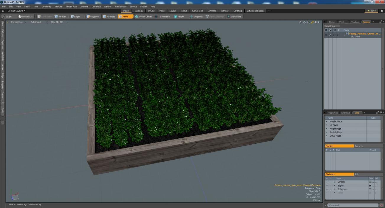 Young Parsley Grows in Rows 3D