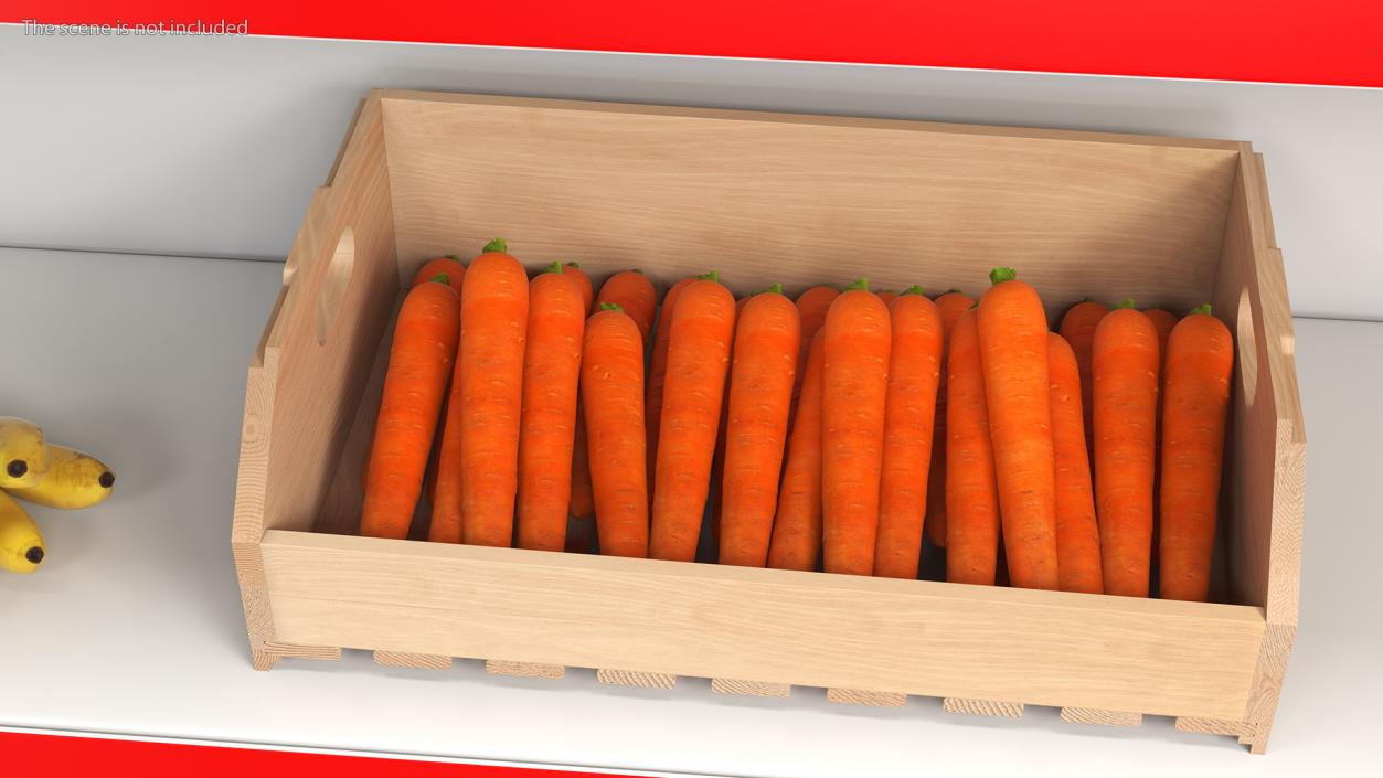 Containers with Vegetables Collection 3D