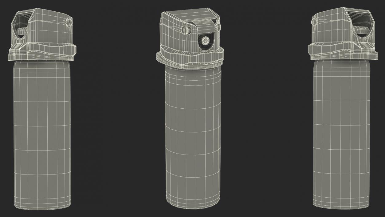 Spray Bottle Gray 3D