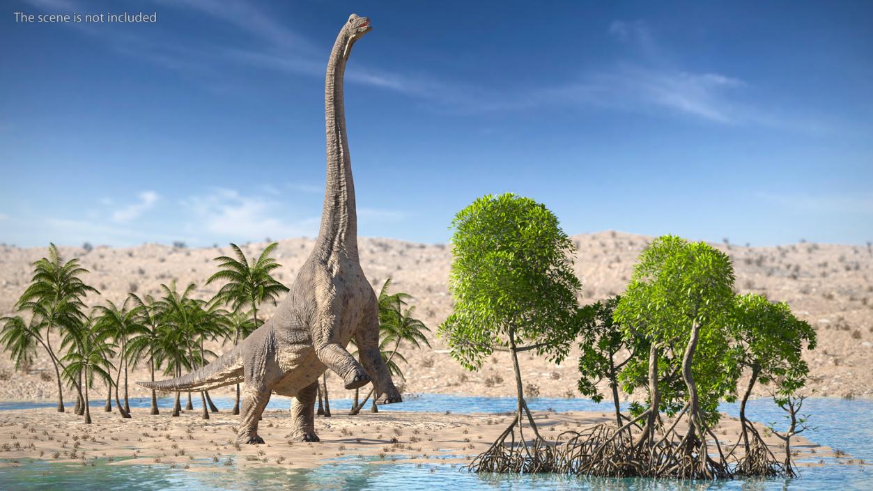 3D Brachiosaurus Altithorax Rigged