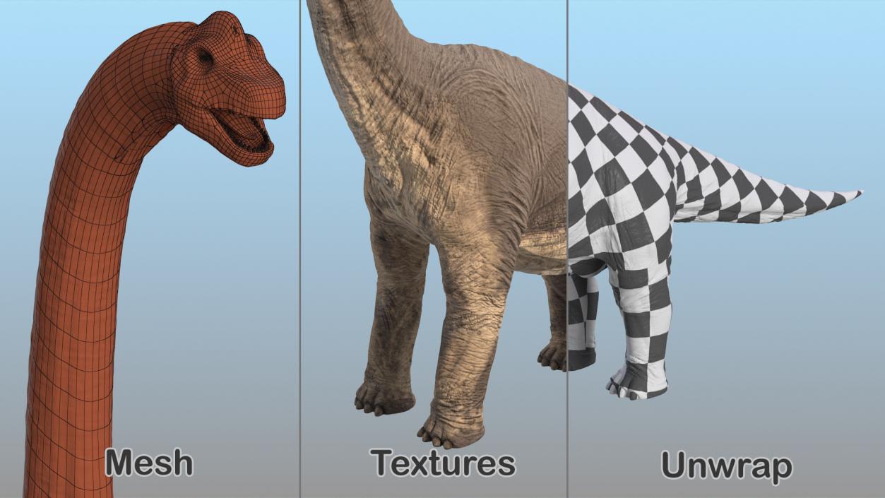 3D Brachiosaurus Altithorax Rigged