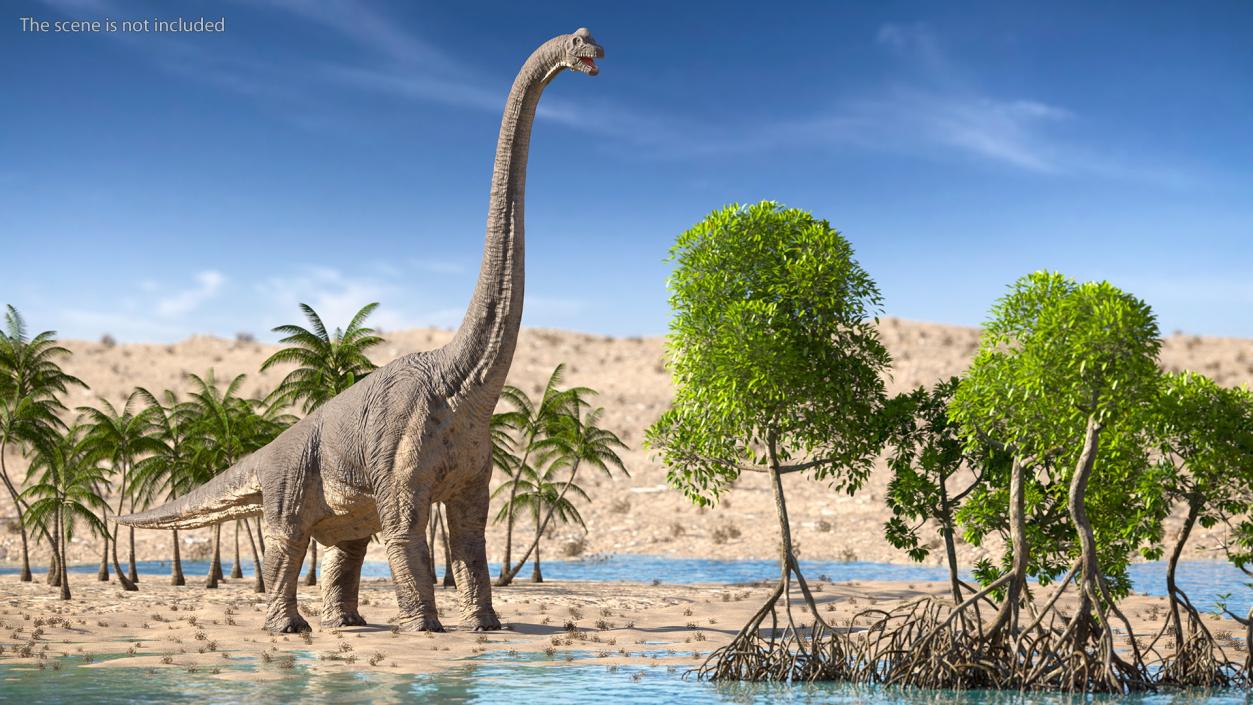 3D Brachiosaurus Altithorax Rigged