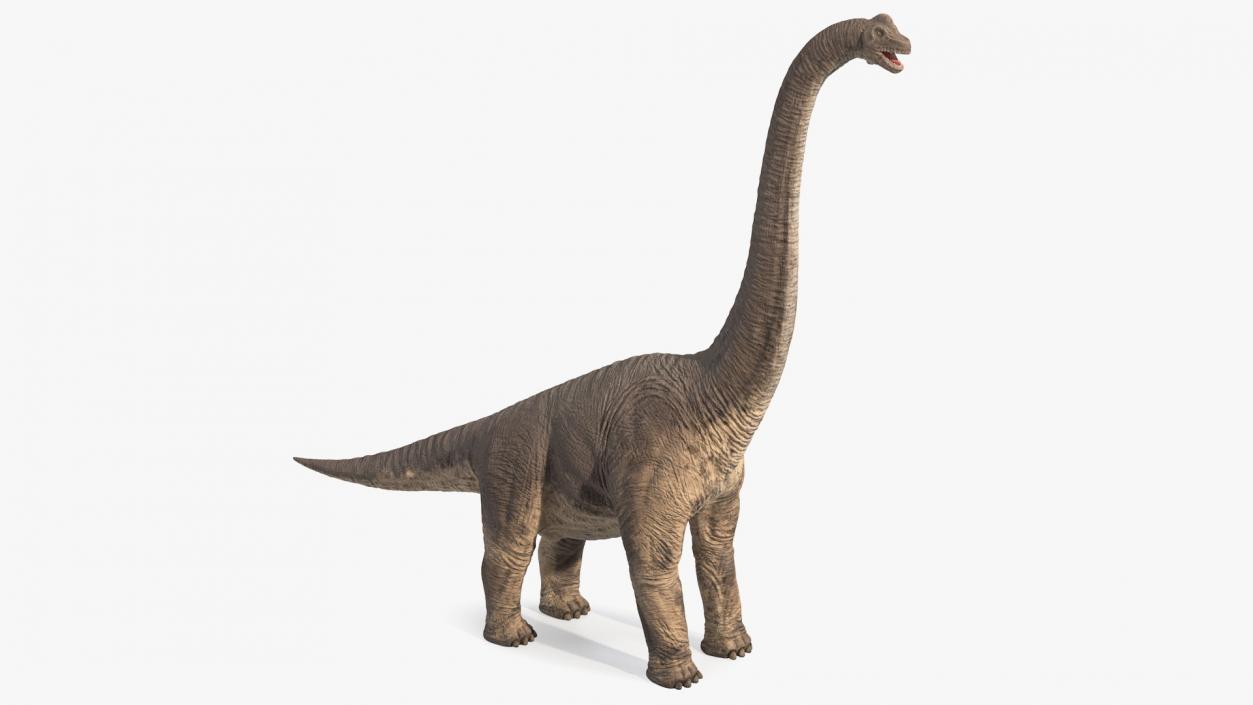 3D Brachiosaurus Altithorax Rigged