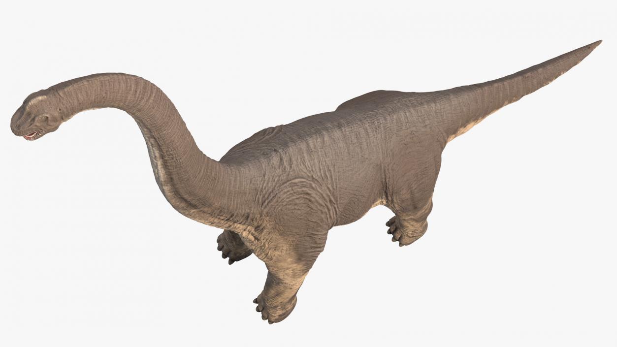 3D Brachiosaurus Altithorax Rigged