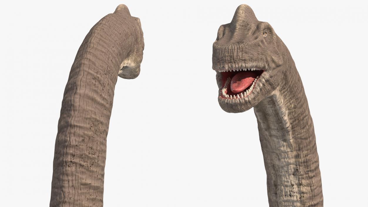 3D Brachiosaurus Altithorax Rigged