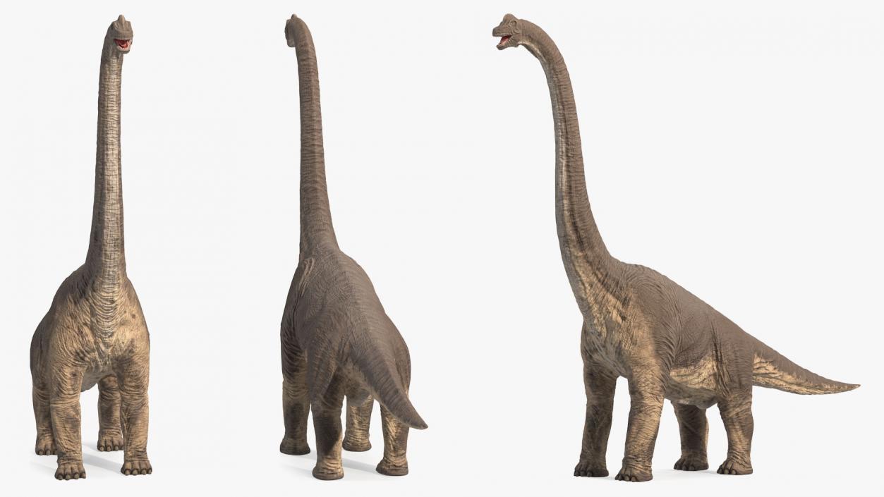 3D Brachiosaurus Altithorax Rigged