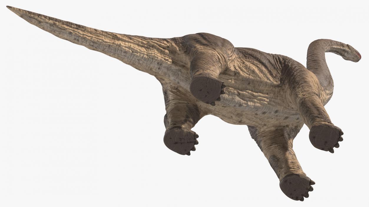 3D Brachiosaurus Altithorax Rigged