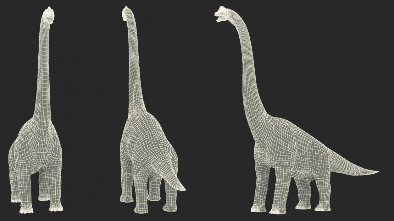 3D Brachiosaurus Altithorax Rigged