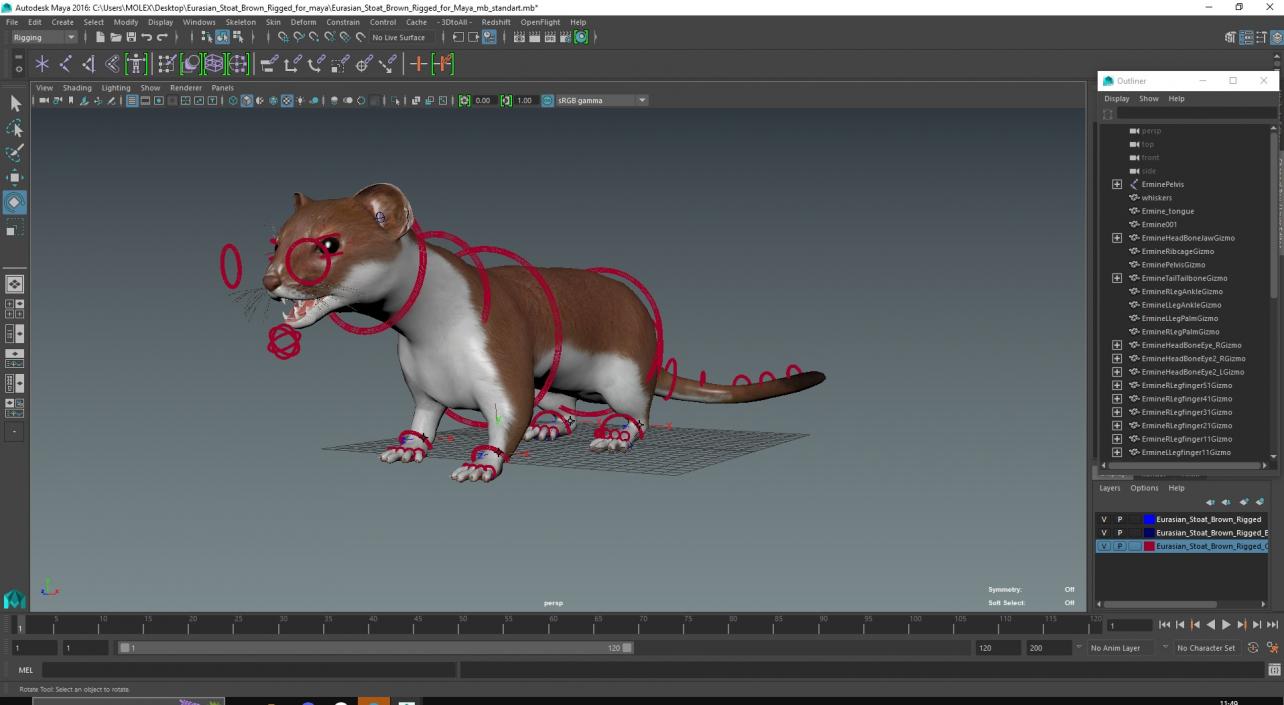 3D Eurasian Stoat Brown Rigged for Maya