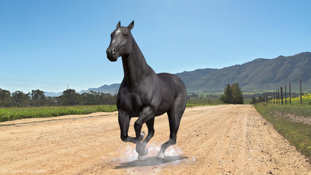 3D Horse Black Rigged model