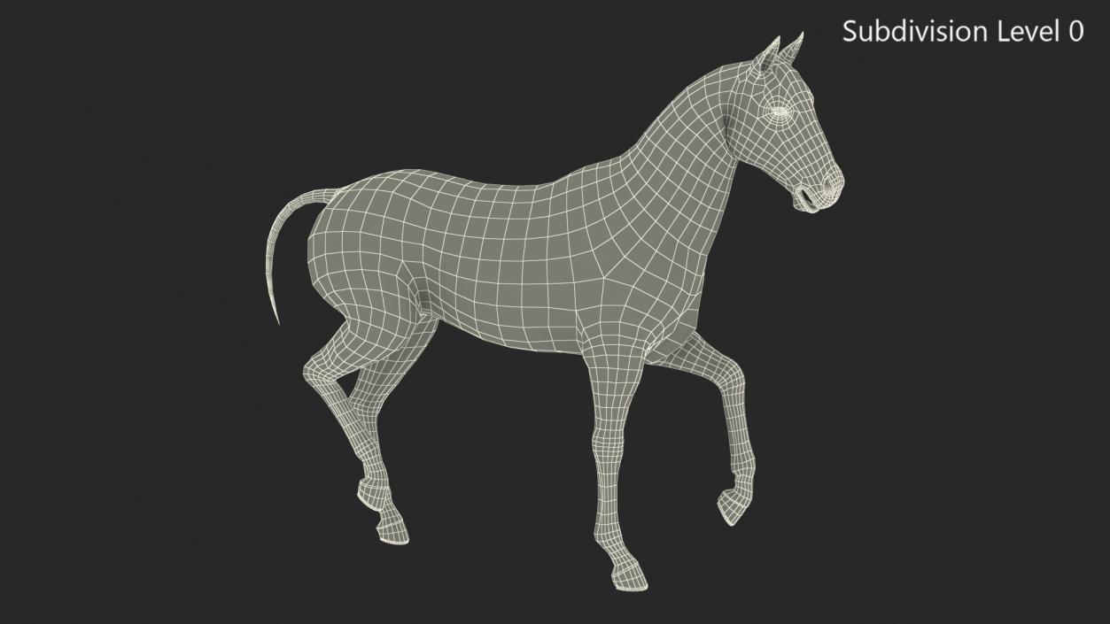 3D Horse Black Rigged model