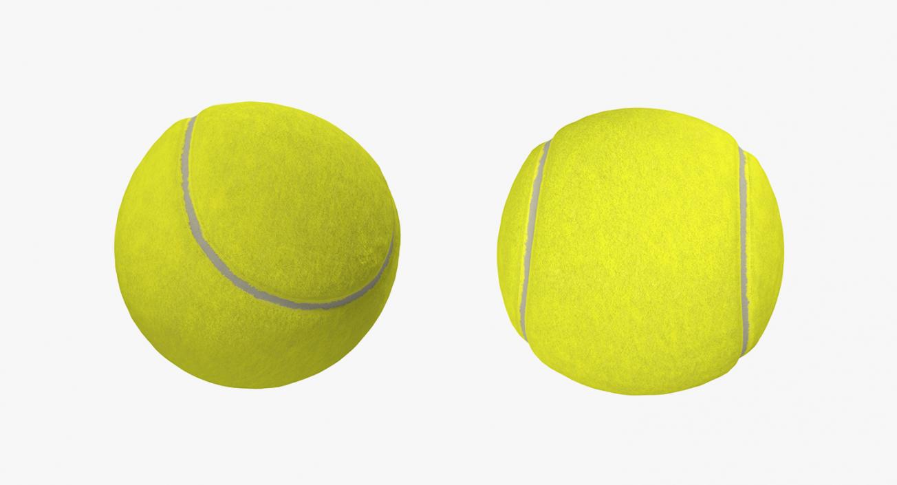 Tennis Collection 4 3D model