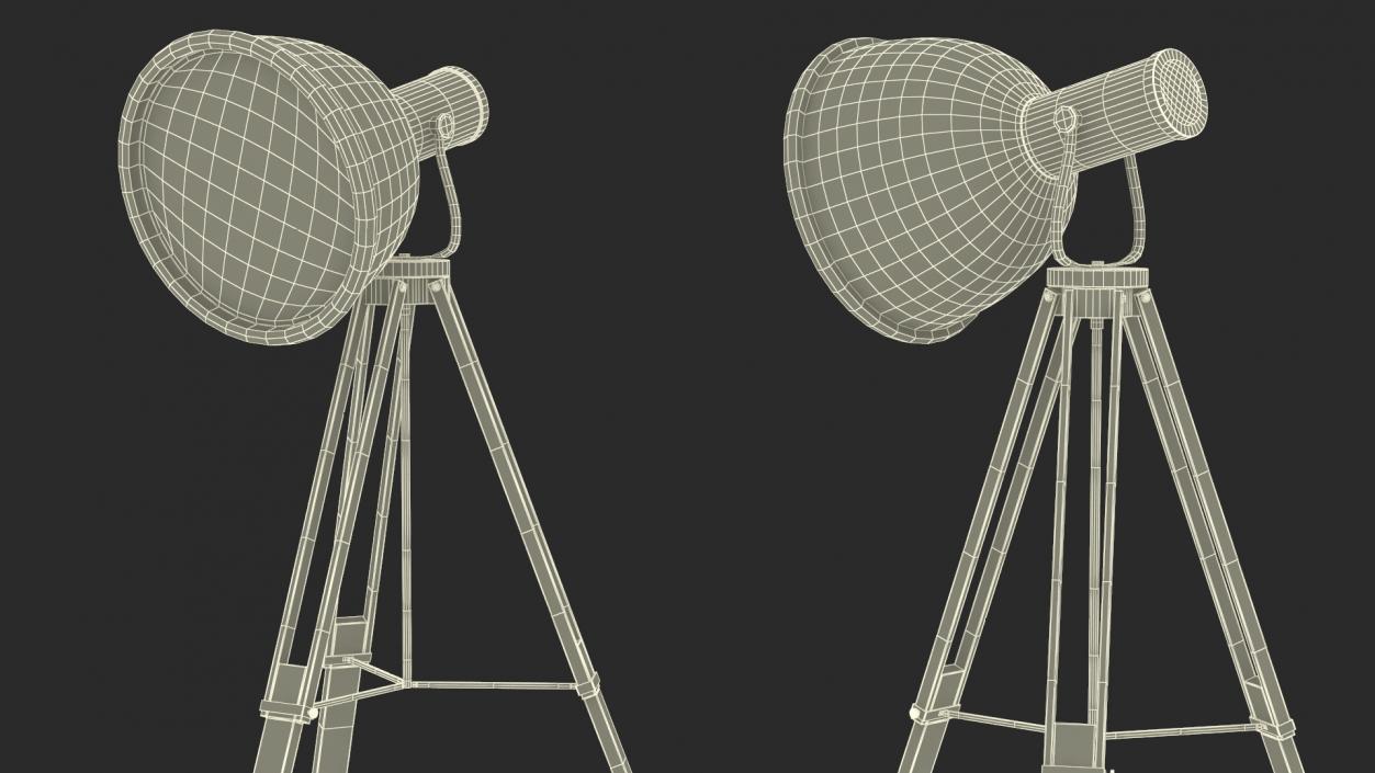 3D Industrial Tripod Floor Lamp model