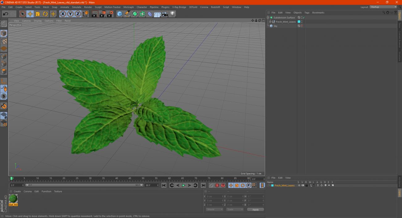 Fresh Mint Leaves 3D