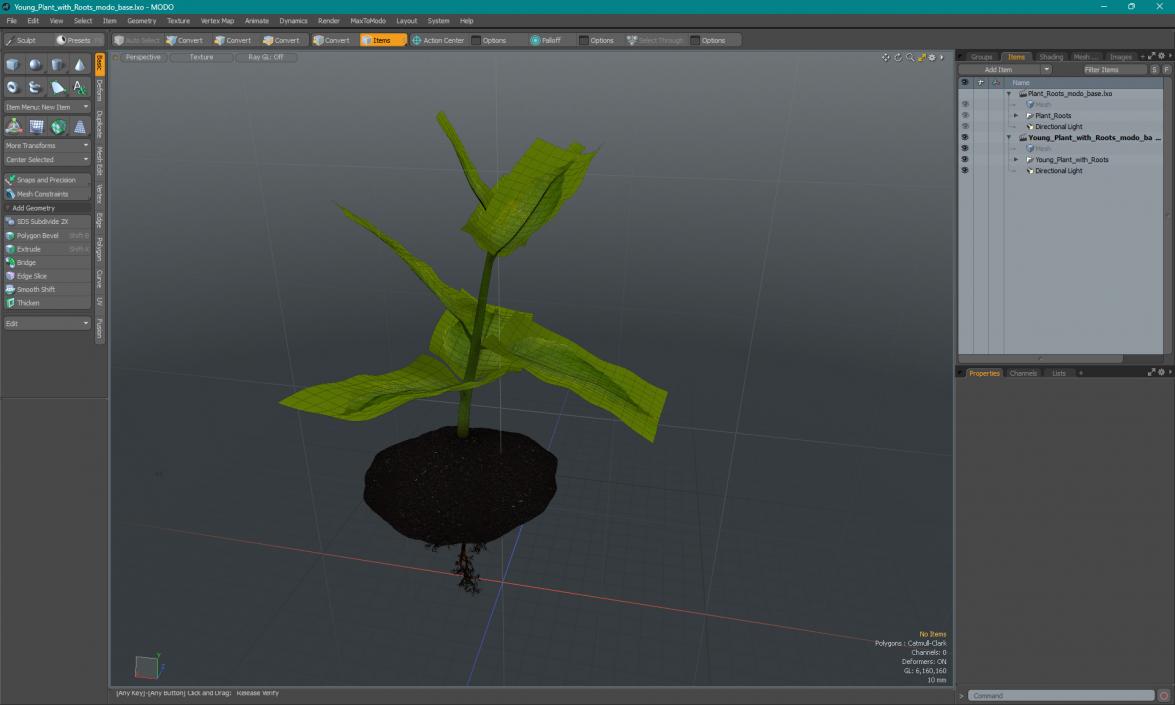 Young Plant with Roots 3D