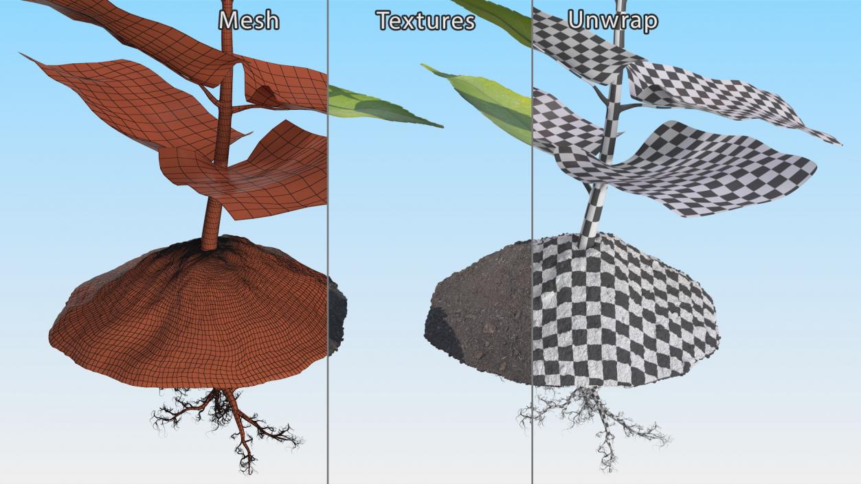 Young Plant with Roots 3D