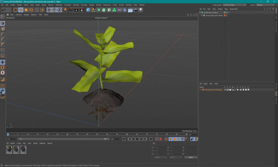 Young Plant with Roots 3D