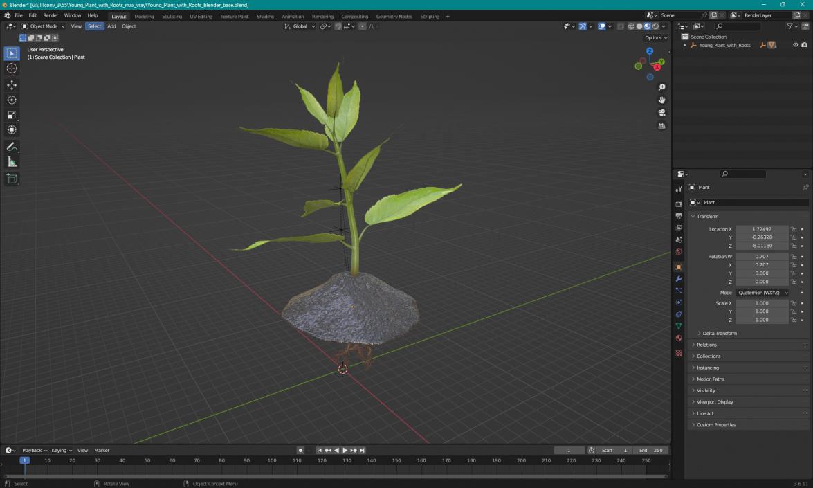 Young Plant with Roots 3D