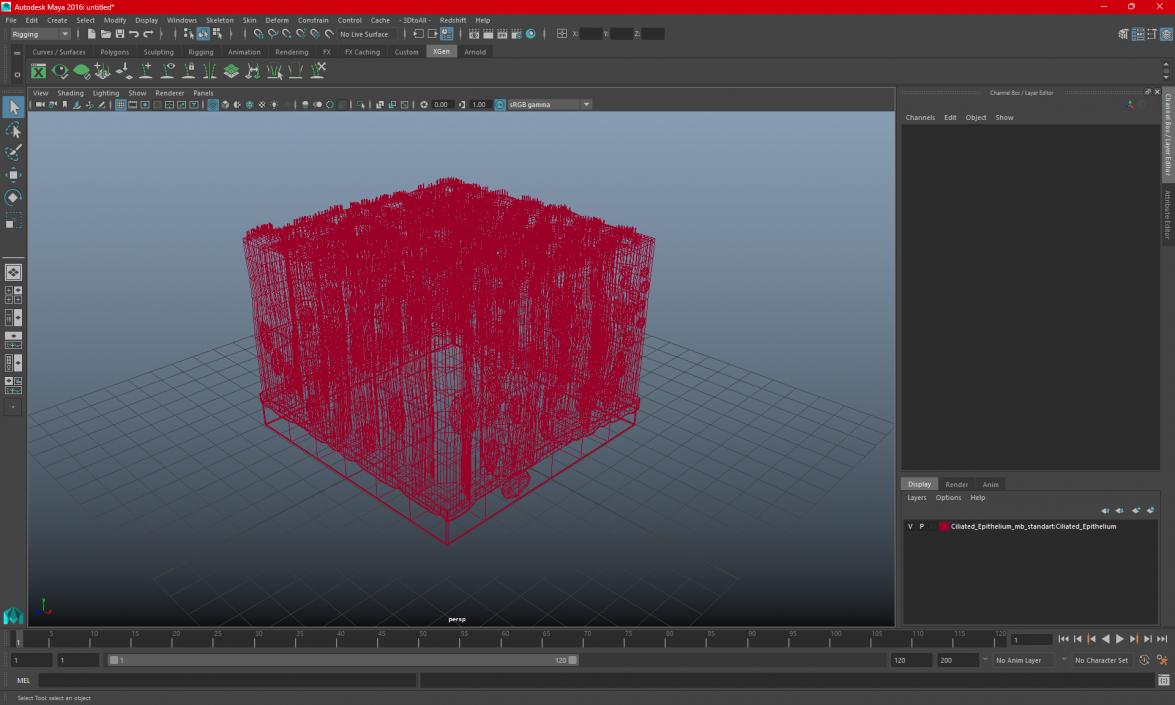 3D Ciliated Epithelium 2