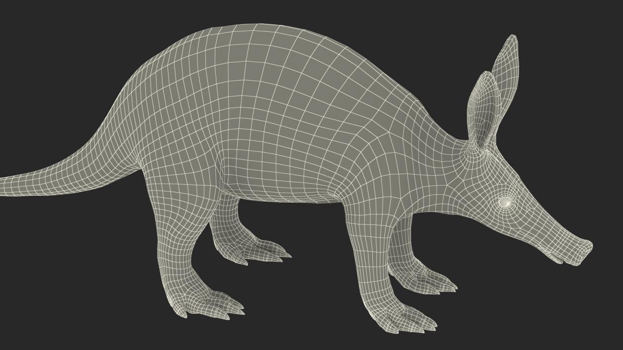 Orycteropus Afer Rigged for Cinema 4D 3D