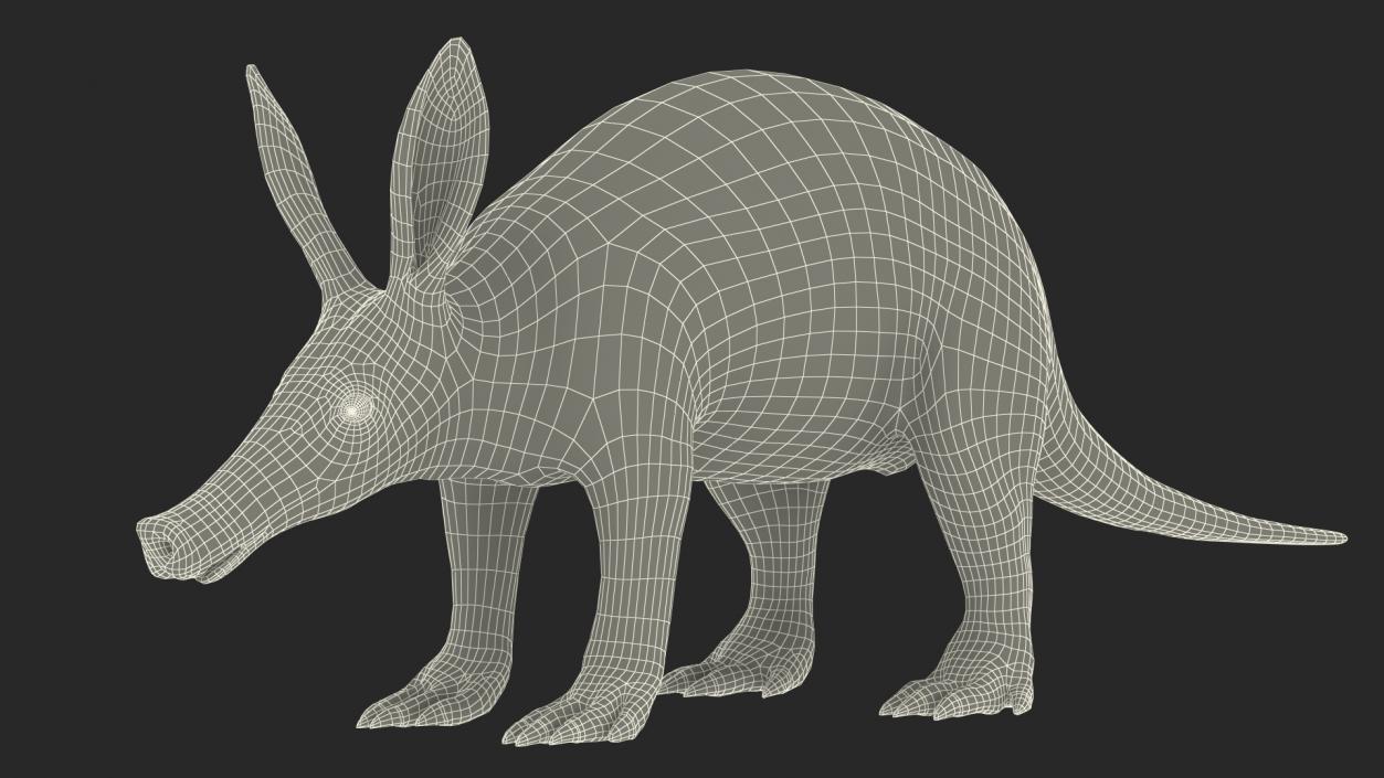 Orycteropus Afer Rigged for Cinema 4D 3D