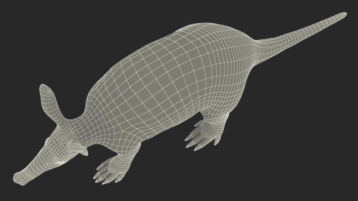 Orycteropus Afer Rigged for Cinema 4D 3D