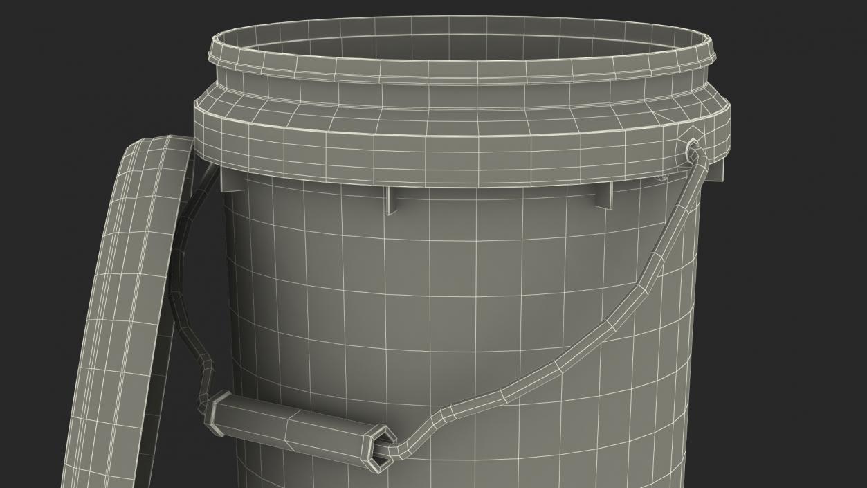 Plastic Bucket 5L with Lid and Handle 3D