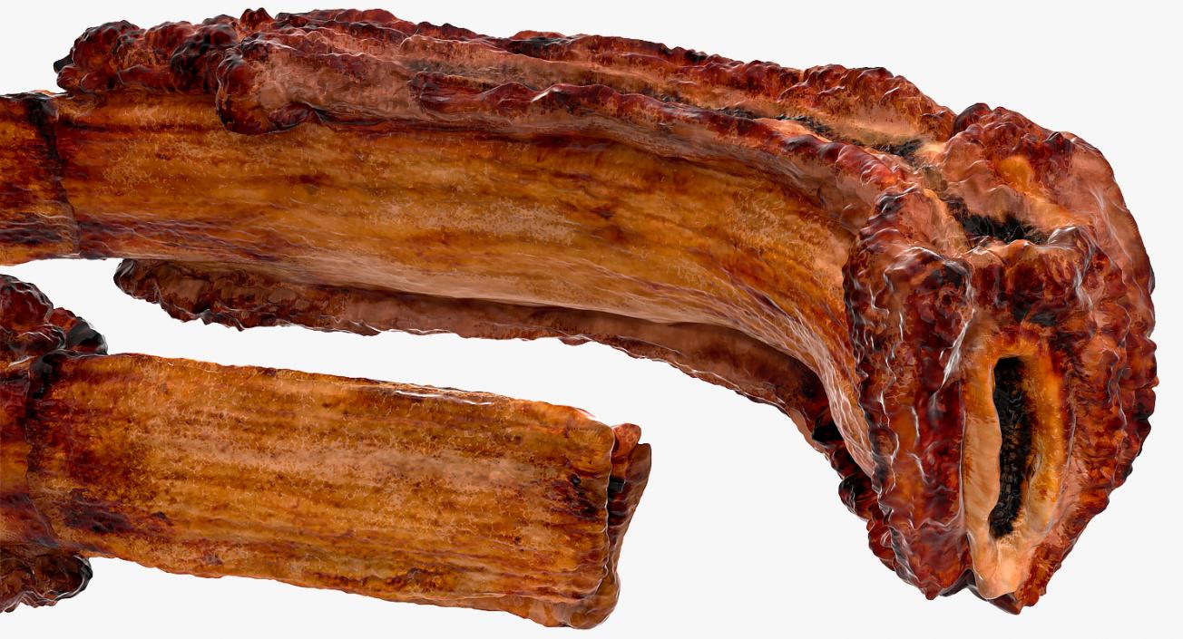 3D Grilled Rib