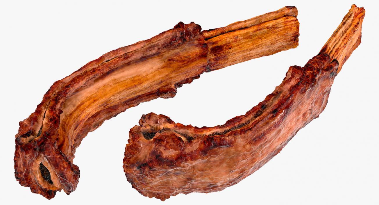 3D Grilled Rib