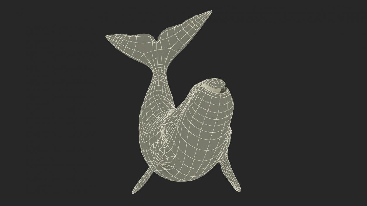 3D Bowhead Whale Swimming Pose Fur