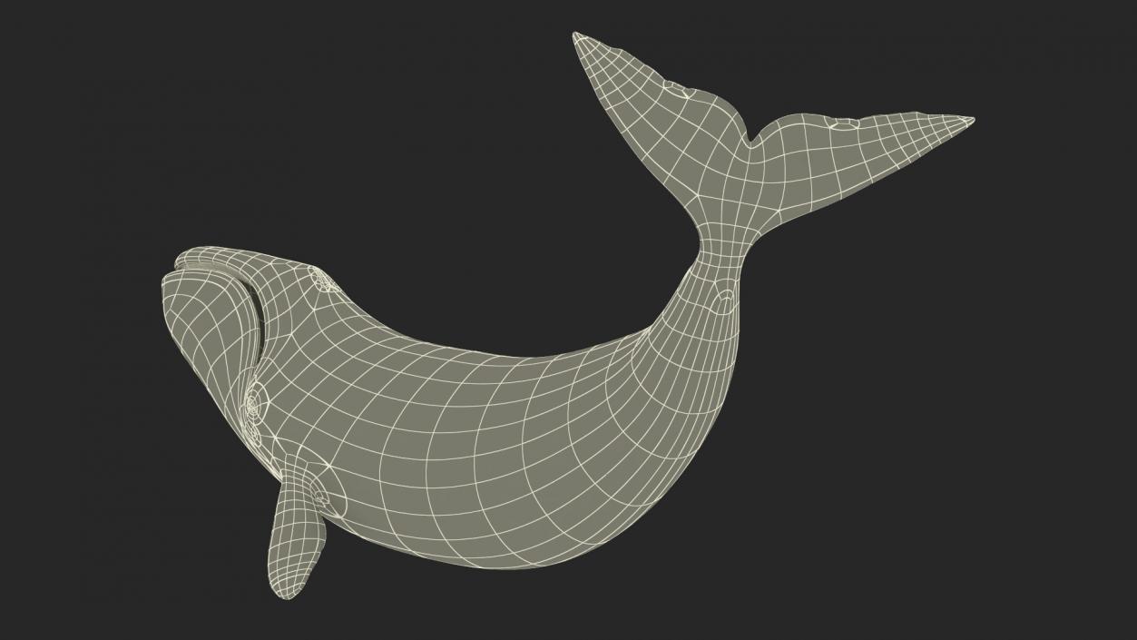 3D Bowhead Whale Swimming Pose Fur