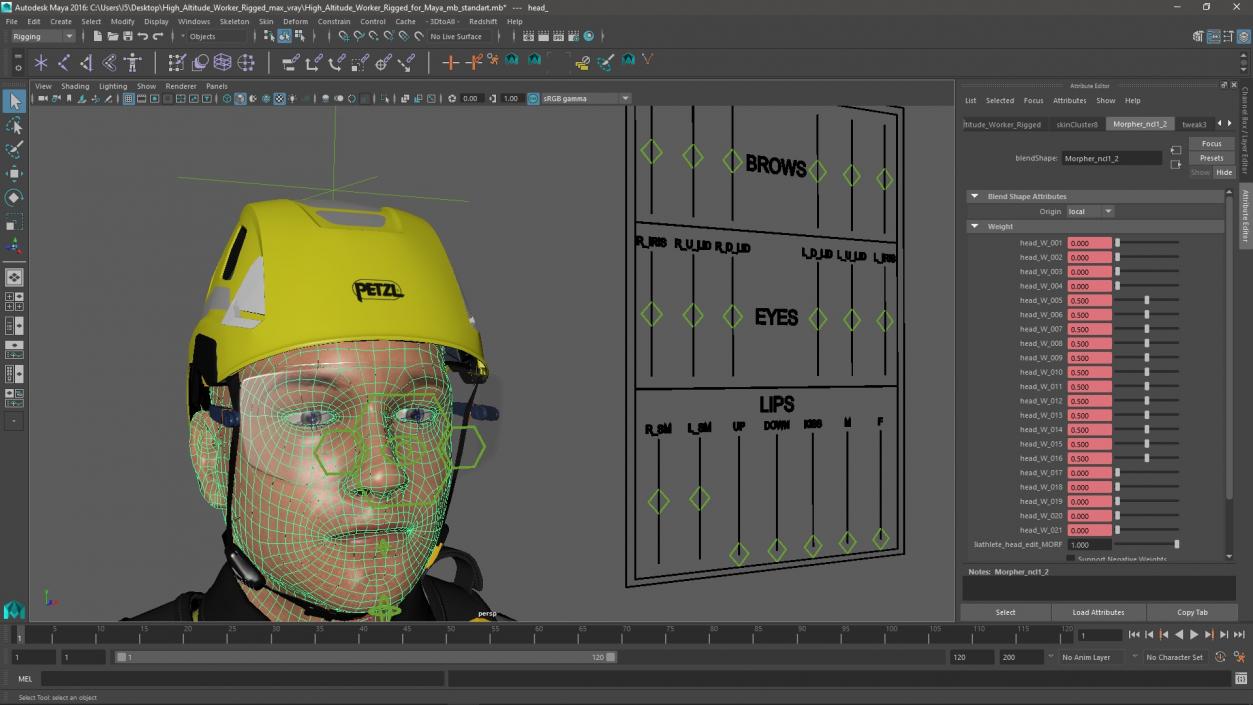 3D High Altitude Worker Rigged for Maya