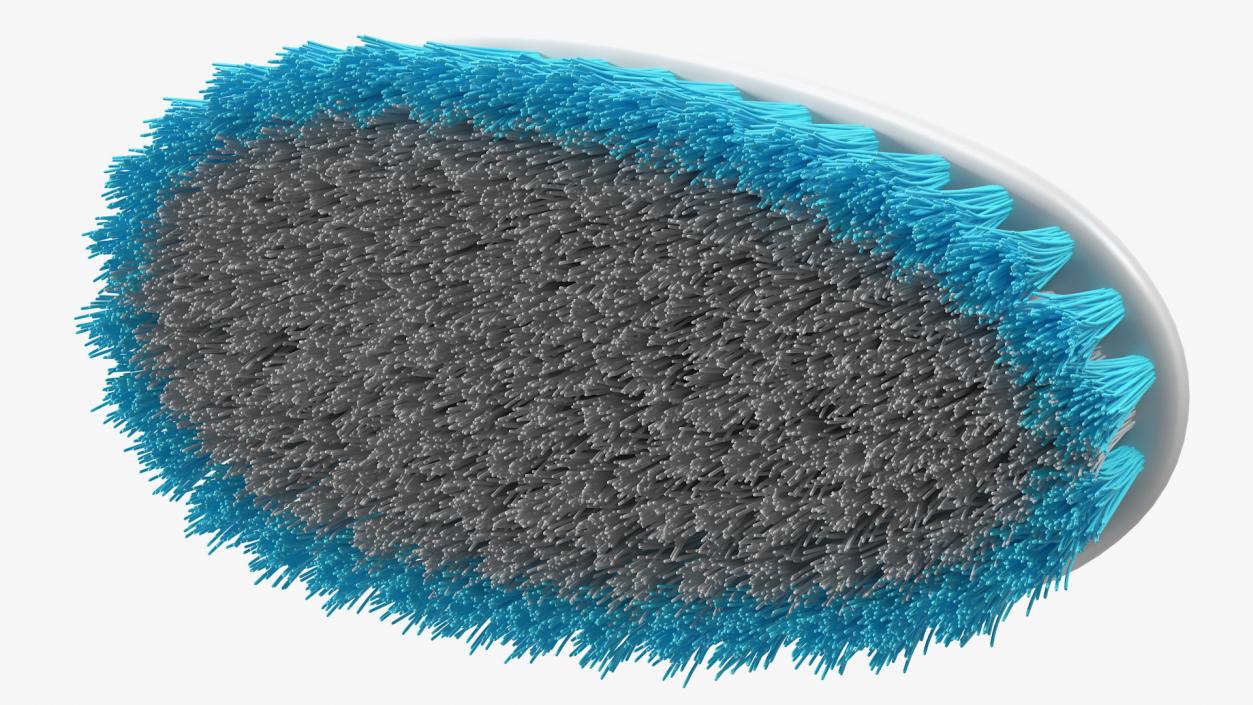 3D Scrub Brush with Grip Handle model