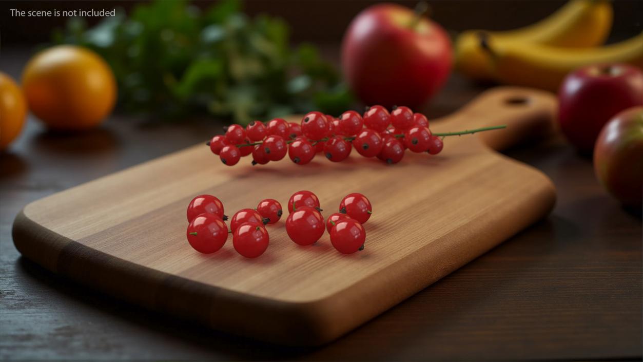 Red Currant Berries 3D model