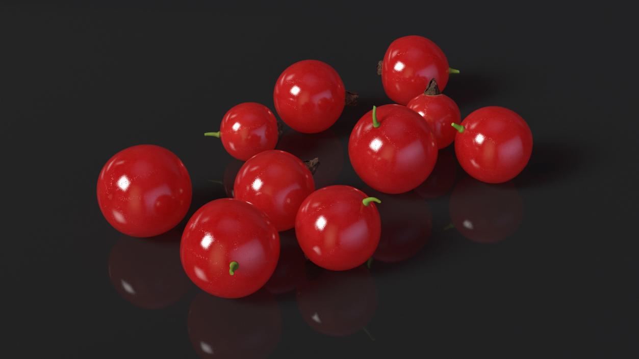 Red Currant Berries 3D model