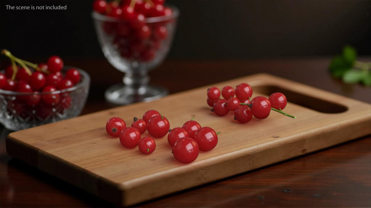 Red Currant Berries 3D model