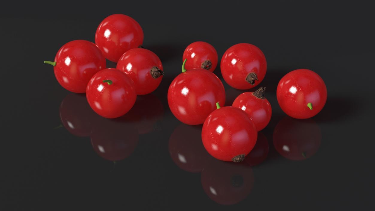 Red Currant Berries 3D model