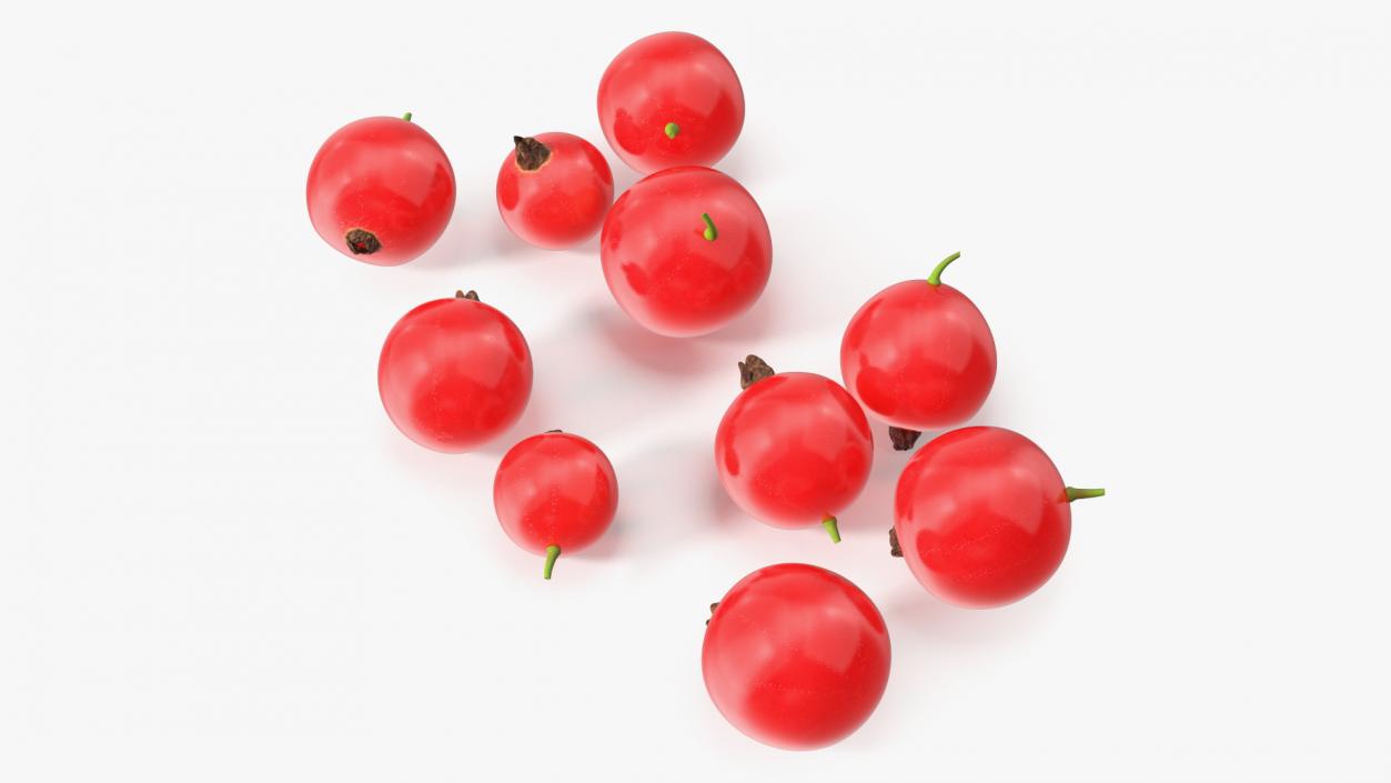 Red Currant Berries 3D model