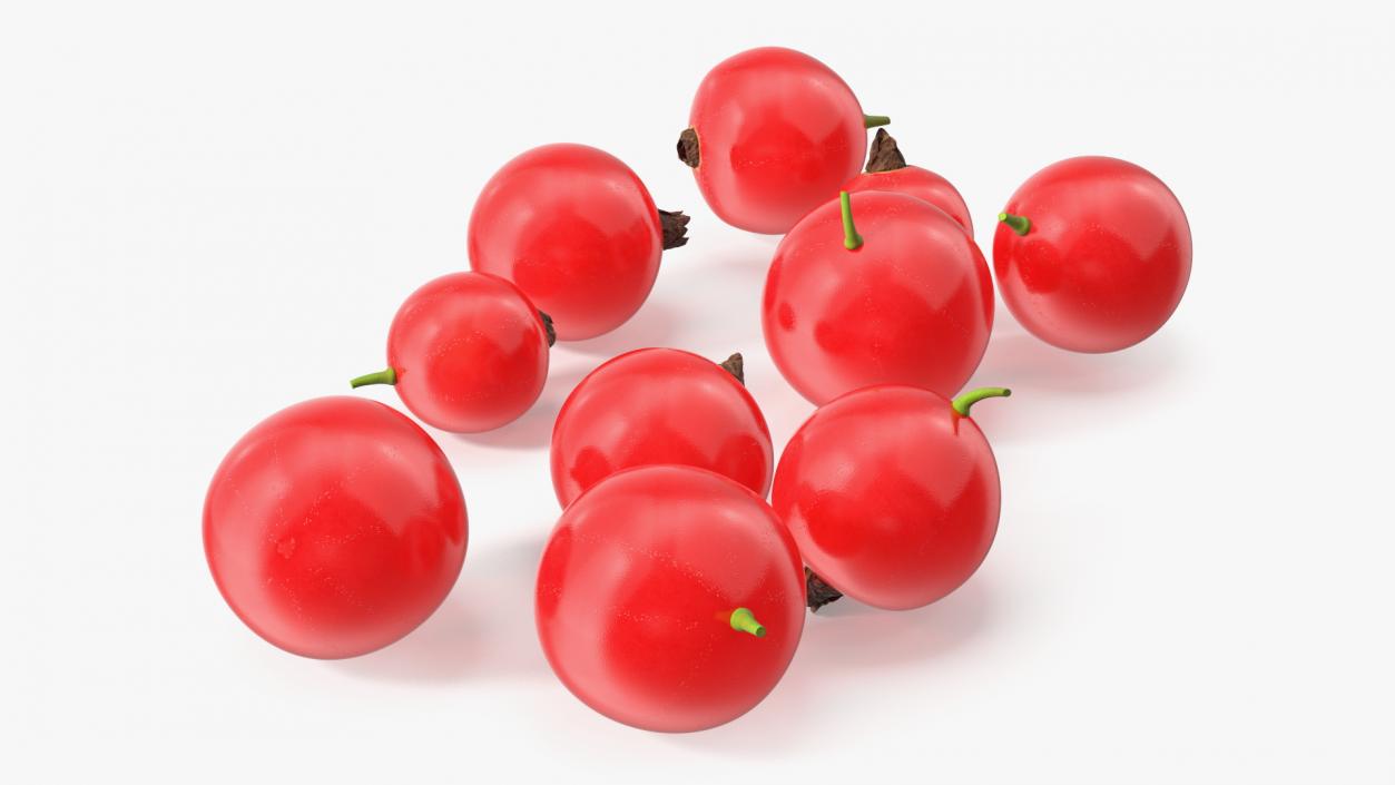 Red Currant Berries 3D model