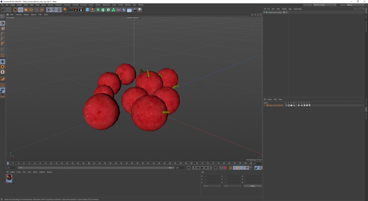 Red Currant Berries 3D model