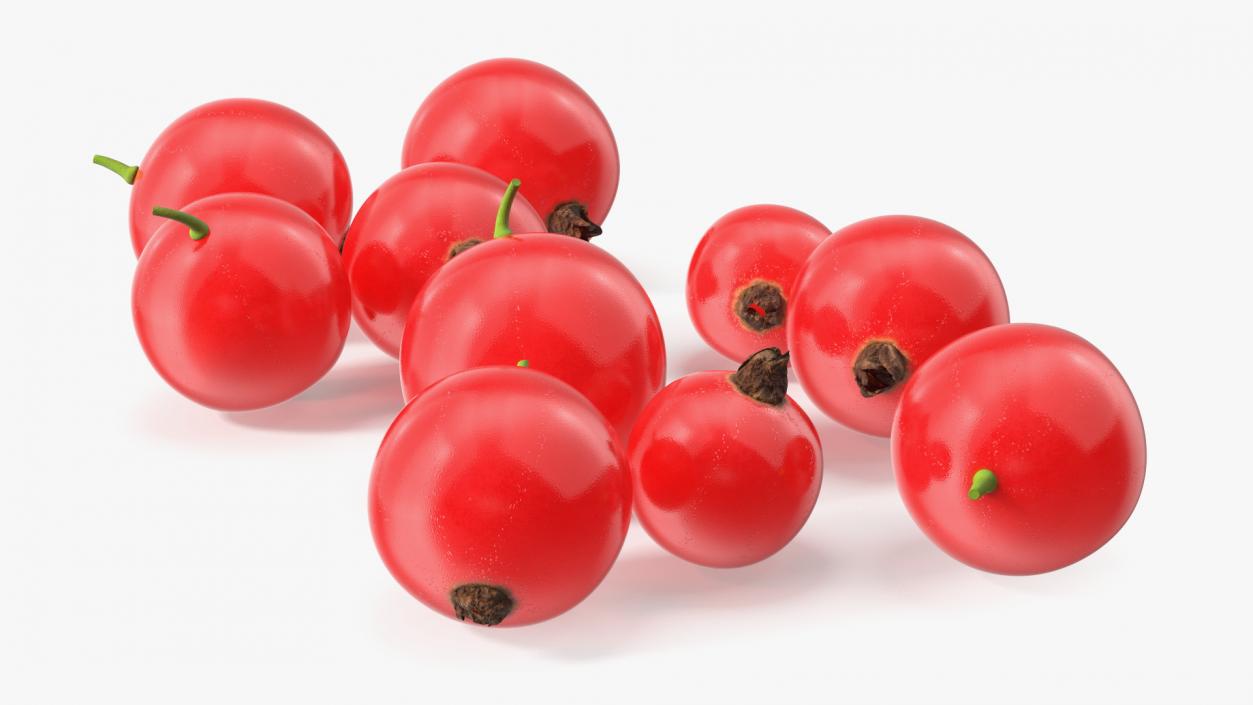 Red Currant Berries 3D model