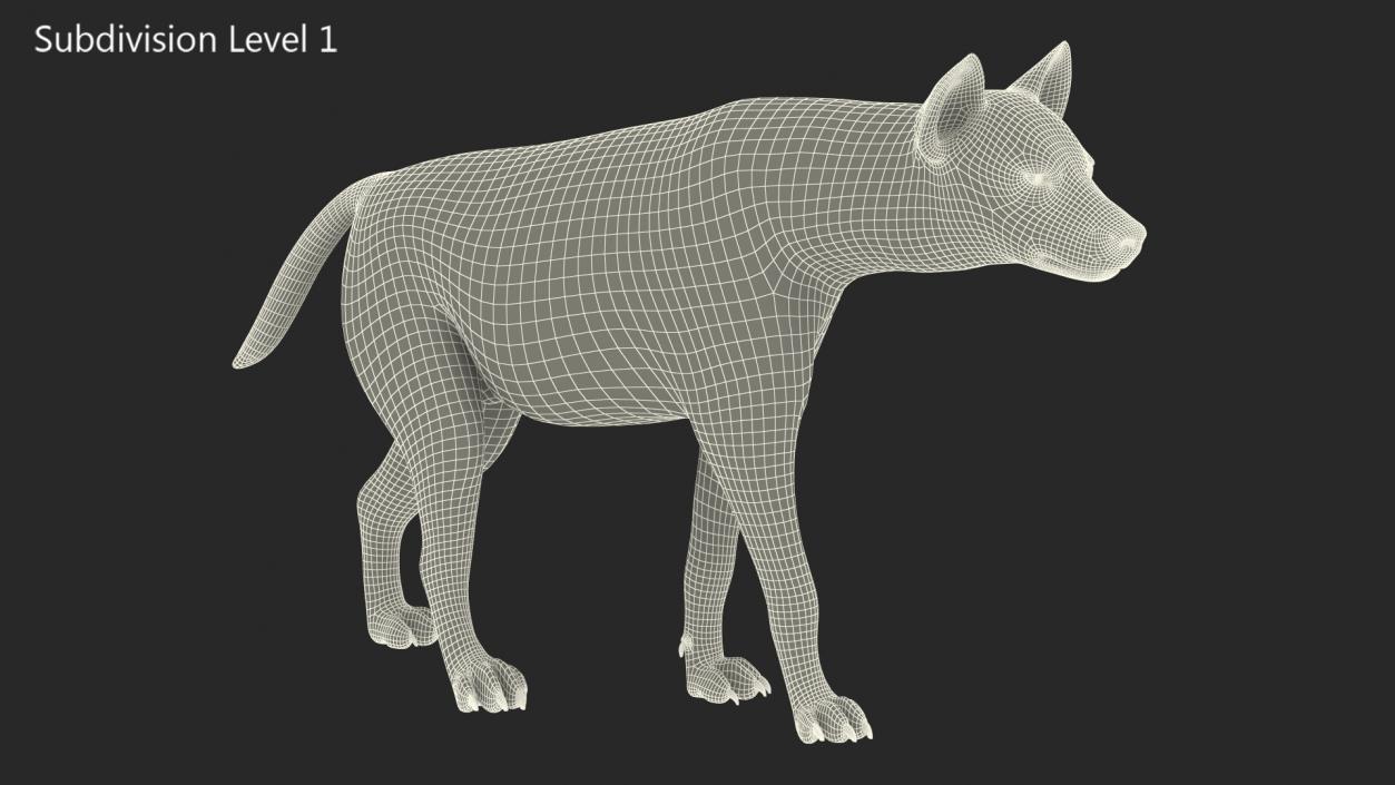 3D Hyena Walking Pose model