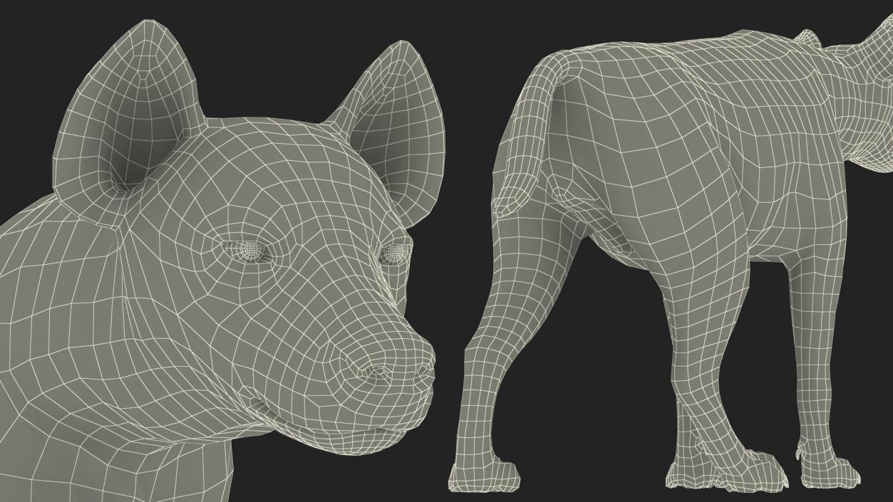 3D Hyena Walking Pose model