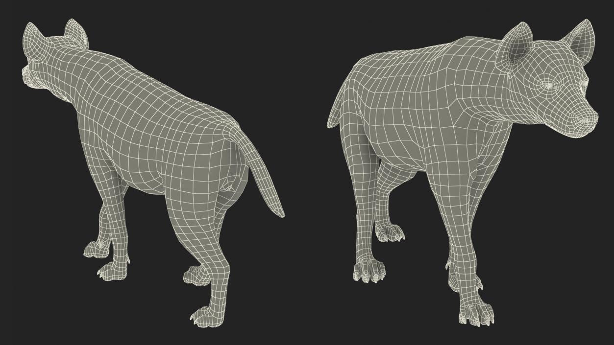 3D Hyena Walking Pose model